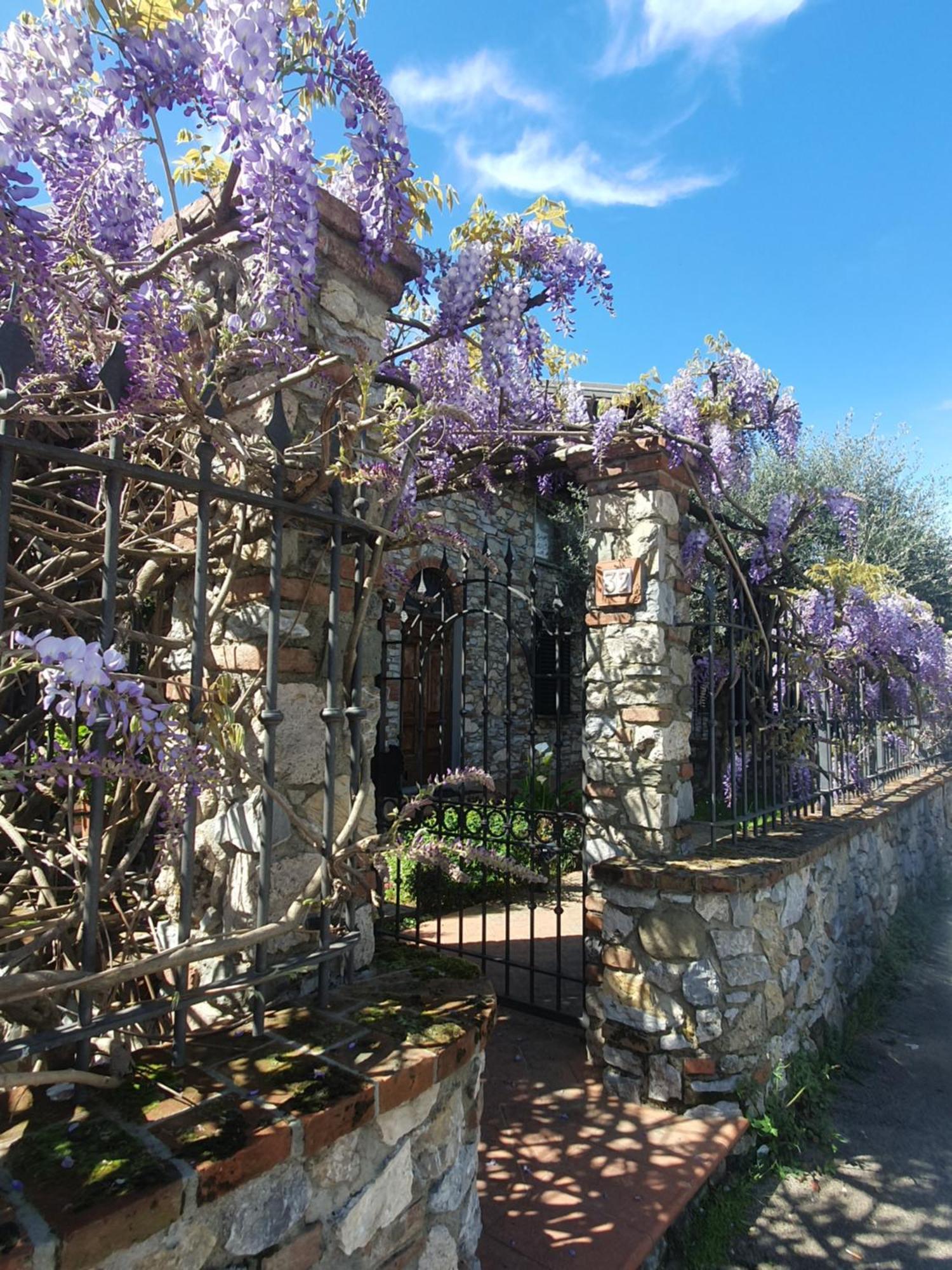 Pietra E Glicine B&B Pieve a Nievole Bagian luar foto