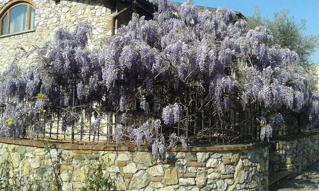 Pietra E Glicine B&B Pieve a Nievole Bagian luar foto